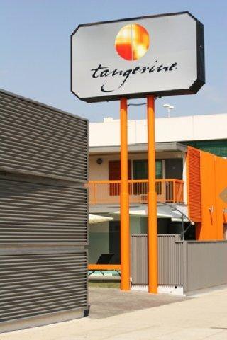 The Tangerine - A